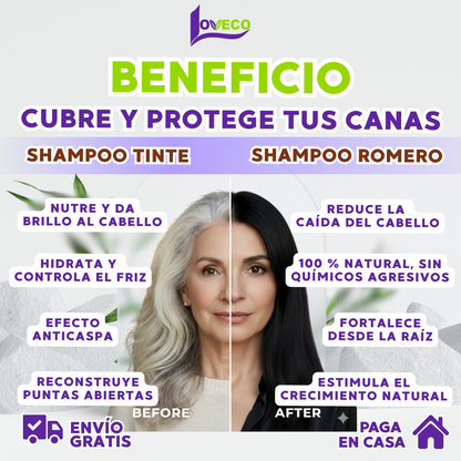 COMBO COLOR + FUERZA (SHAMPOO TINTE CUBRE CANAS 400 ML + SHAMPOO ROMERO 1 LITRO)